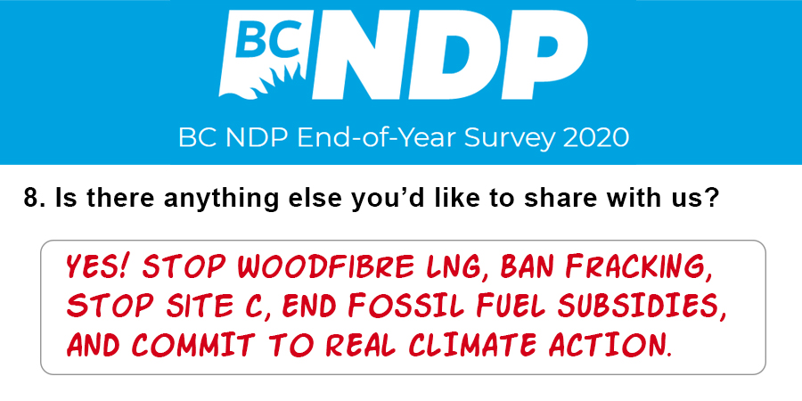 BC NDP's end of year survey